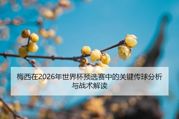 mei-xi-zai-nian-shi-jie-bei-yu-xuan-sai-zhong-de-guan-jian-chuan-qiu-fen-xi-yu-zhan-shu-jie-du-2-929.jpg