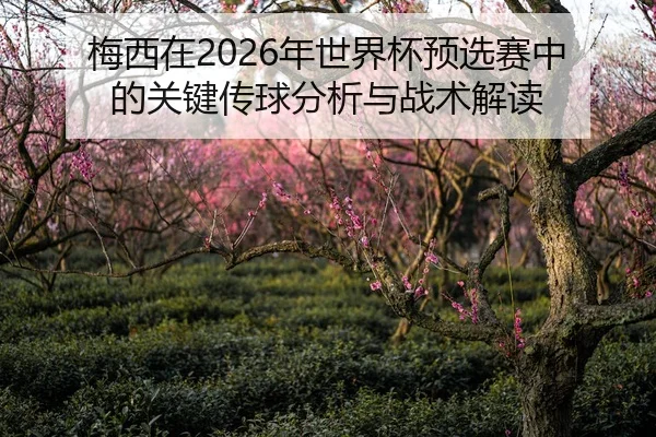 梅西在2026年世界杯预选赛中的关键传球分析与战术解读