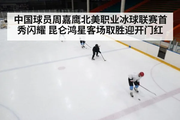 ice hockey rink